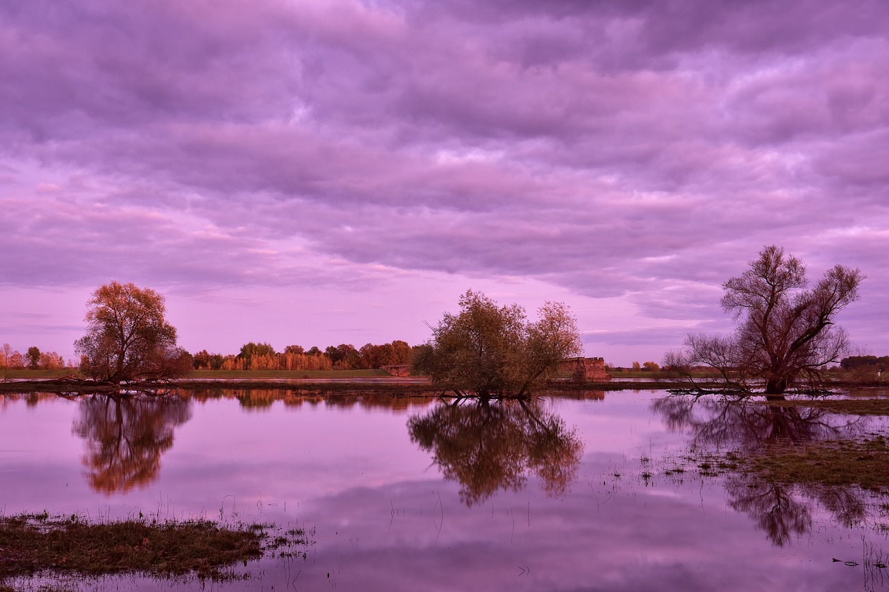 The Impact of Climate Change on Home Safety